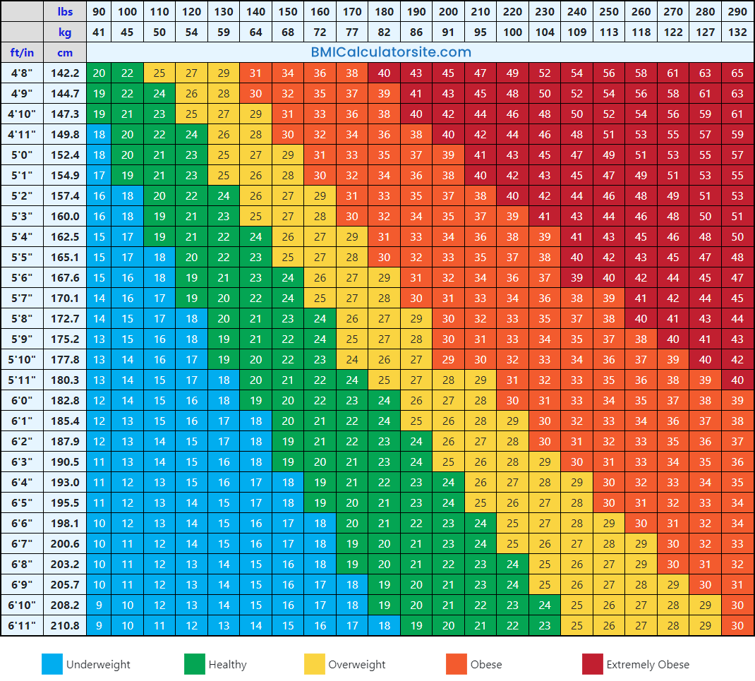 BMI Chart - Body Mass Index Chart